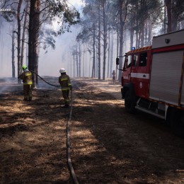 На Миколаївщині загорілося Баловно-Матвіївське лісове урочище / Фото: ДСНС