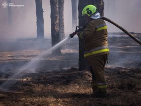 Наслідки пожеж в Миколаївській області, ілюстративне фото: ДСНС Миколаївщини