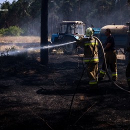 Пожежі у Миколаївській області 17-18 липня / Фото: ДСНС Миколаївщини