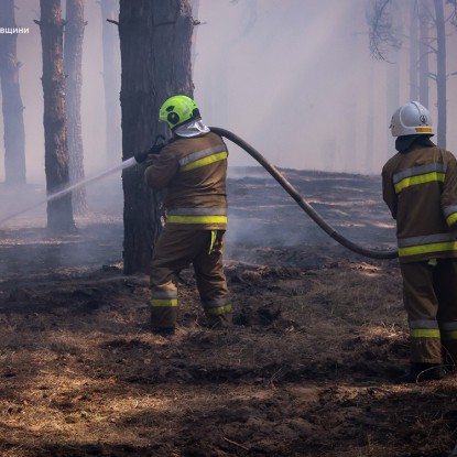 Пожежі у Миколаївській області 17-18 липня / Фото: ДСНС Миколаївщини