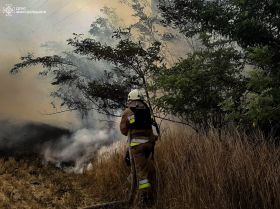 Fires in Mykolaiv Oblast, photo: State Emergency Service of Mykolaiv Oblast