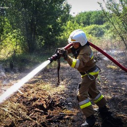 Пожежі на Миколаївщині 1 липня / Фото: ДСНС у Миколаївській області