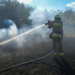 Пожежі на Миколаївщині 1 липня / Фото: ДСНС у Миколаївській області