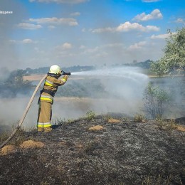 Пожежі на Миколаївщині 1 липня / Фото: ДСНС у Миколаївській області