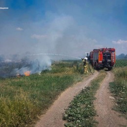 Пожары в Николаевской области 1 июля / Фото: ГСЧС в Николаевской области