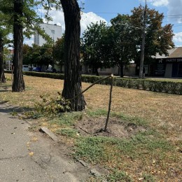 В Николаеве неизвестные сломали молодые деревья. Фото: Николаевские парки