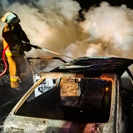 Пожары в Николаевской области 21 июля / Фото: ГСЧС в Николаевской области