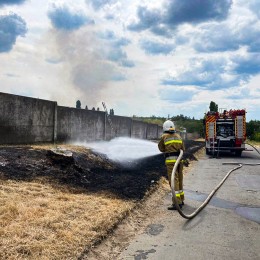 Пожары в Николаевской области 21 июля / Фото: ГСЧС в Николаевской области