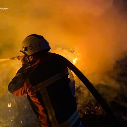 Пожары в Николаевской области 21 июля / Фото: ГСЧС в Николаевской области