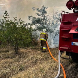 Пожежі в Миколаївській області 22 липня / Фото: ДСНС Миколаївщини