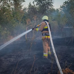 Пожары на Николаевщине 24 июля / Фото: ГСЧС Николаевской области