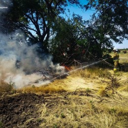 Пожары в экосистемах Николаевщины 25 июля / Фото: ГСЧС в Николаевской области