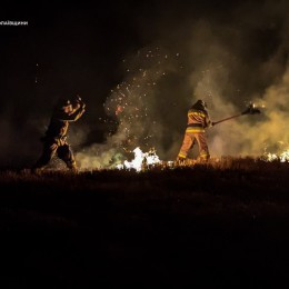 Пожары в экосистемах Николаевщины 25 июля / Фото: ГСЧС в Николаевской области