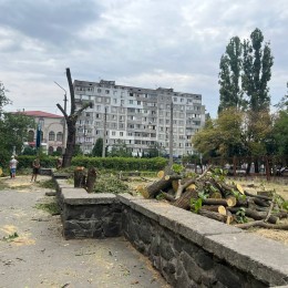 Возле областной больницы в Николаеве снесут деревья, фото: «НикВести»