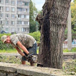 Возле областной больницы в Николаеве снесут деревья, фото: «НикВести»