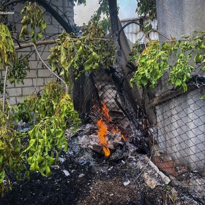 Пожежа сараю у Новому Бузі Миколаївської області 29 липня / Фото: ДСНС