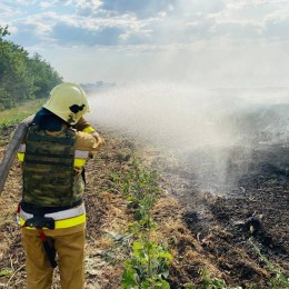 Пожежа сухотою на Миколаївщині. Фото: ДСНС у Миколаївській області