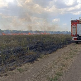 Пожежа сухотою на Миколаївщині. Фото: ДСНС у Миколаївській області