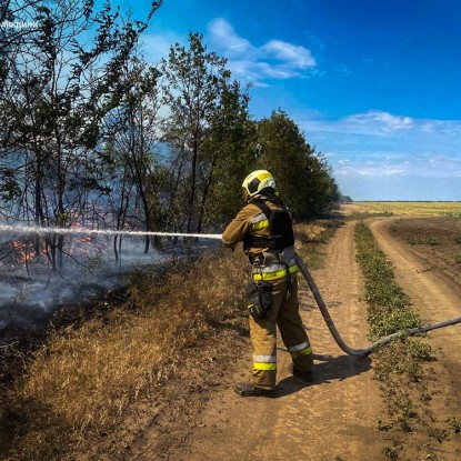 Пожары в Николаевской области 29 июля / Фото: ГСЧС в Николаевской области