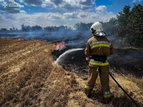 Наслідки пожеж в Миколаївській області, ілюстративне фото: ДСНС Миколаїщини