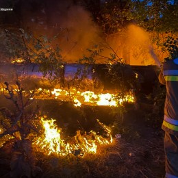 Пожары в Николаевской области 31 июля 2024 года, фото: Главное управление ГСЧС в области