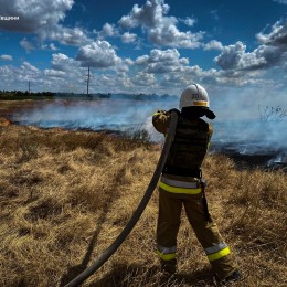 Пожары в Николаевской области 31 июля 2024 года, фото: Главное управление ГСЧС в области