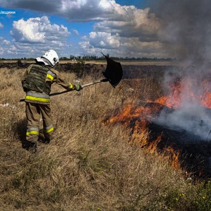 Пожежі на Миколаївщині 31 липня 2024 року, фото: Головне управлінні ДСНС в області