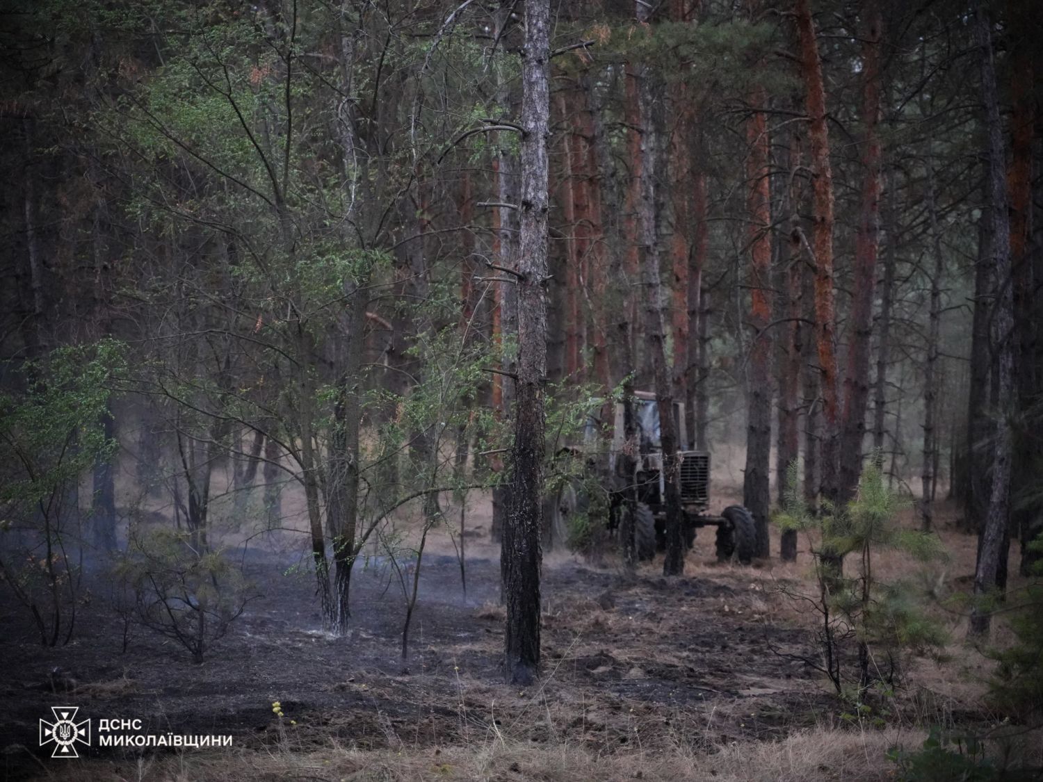 Пожежі у Миколаївській області 10-11 серпня / Фото: ДСНС Миколаївщини