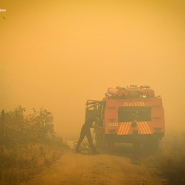 Пожежа на території Андріївського лісу у Миколаївському районі, фото: ДСНС Миколаївщини