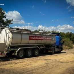 Пожежа на території Андріївського лісу у Миколаївському районі, фото: ДСНС Миколаївщини