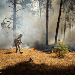 Пожар на территории Андреевского леса в Николаевском районе, фото: ГСЧС Николаевской области