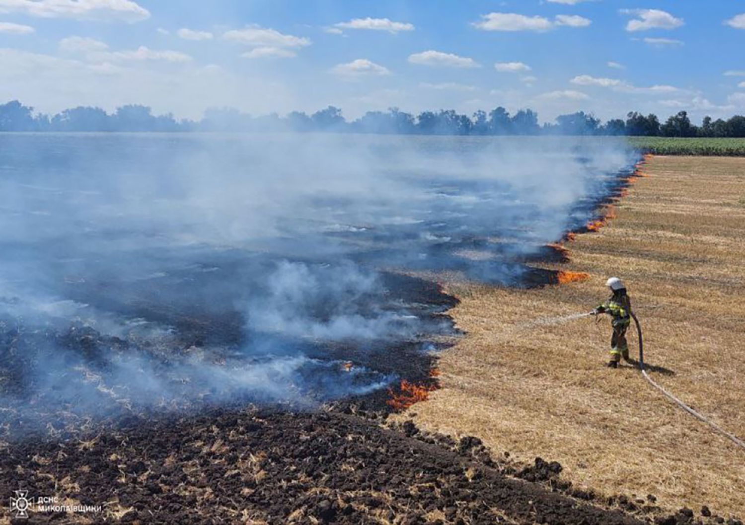 Пожежі у Миколаївській області 11-12 серпня. Фото: ДСНС Миколаївщини