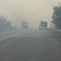 Large-scale forest fire near Mykolaiv. Screenshot from eyewitness video