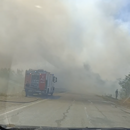 Large-scale forest fire near Mykolaiv. Screenshot from eyewitness video