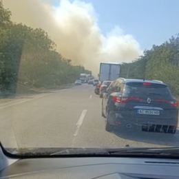 Large-scale forest fire near Mykolaiv. Screenshot from eyewitness video