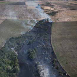 Масштабна пожежа лісосмуги поблизу Миколаєва, фото: ДСНС Миколаївщини