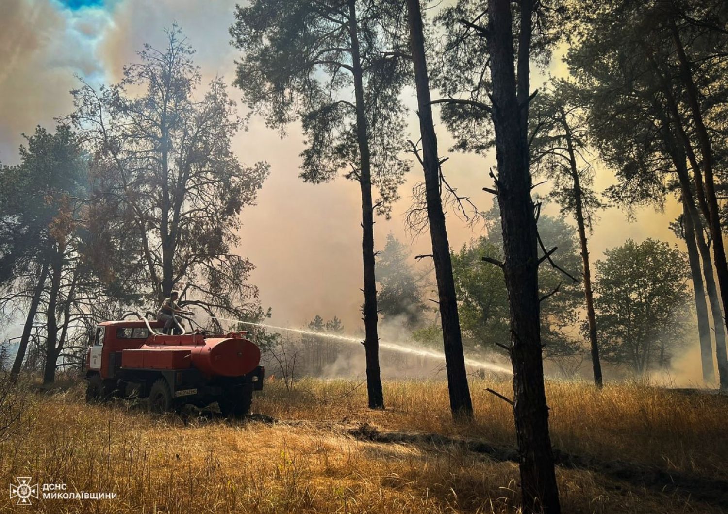 Fire in the Andriiivsky forest in the Mykolaiv region / Photo: State Emergency Service of the Mykolaiv region