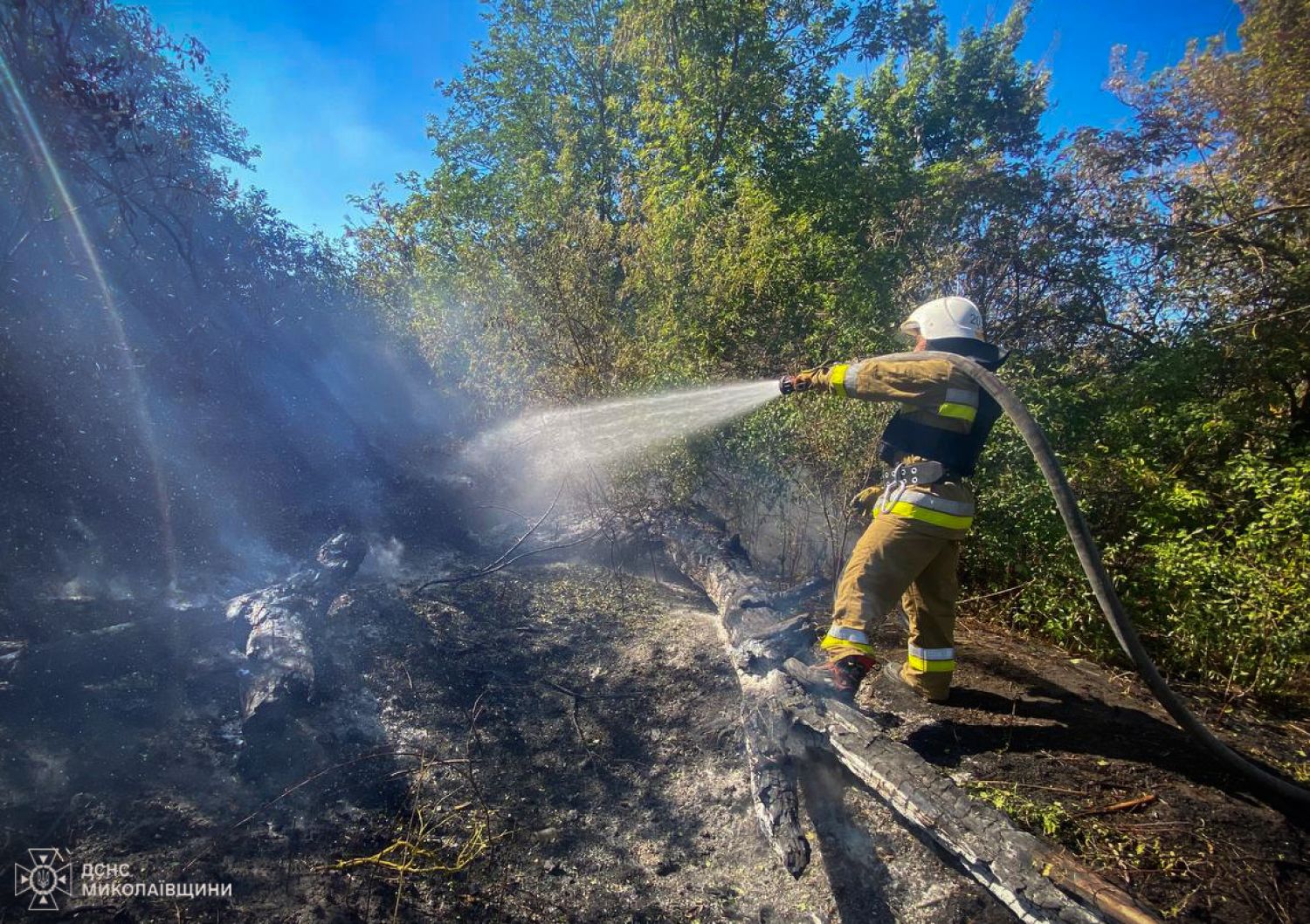 Пожежі у Миколаївській області 12-13 серпня. Фото: ДСНС Миколаївщини