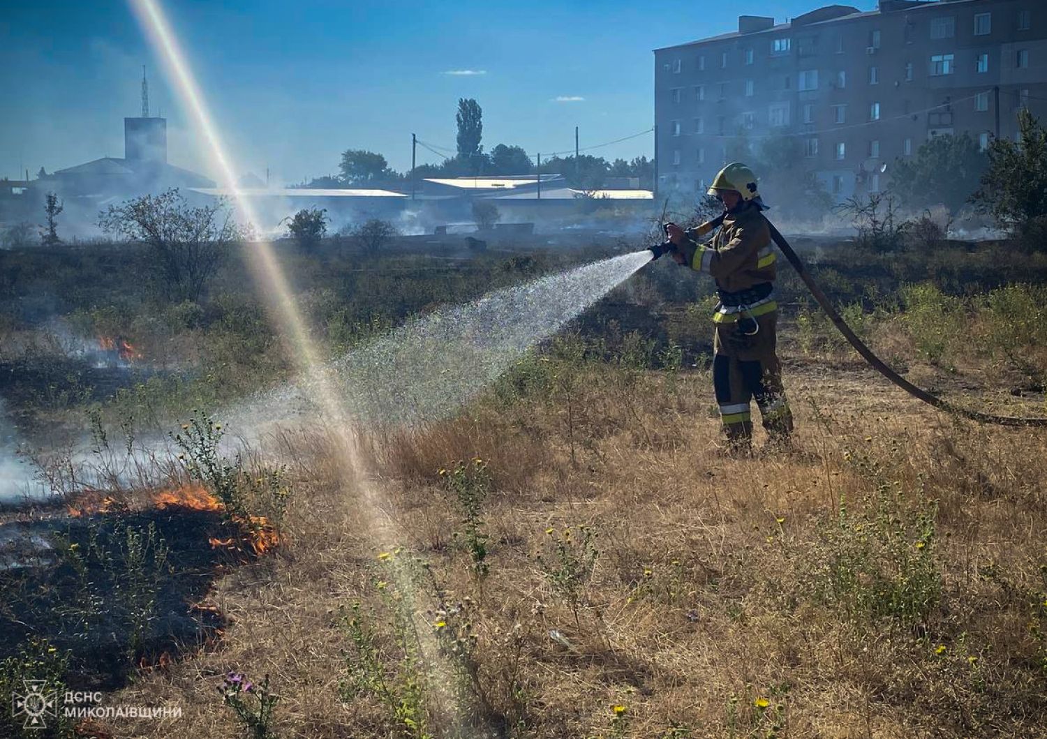 Пожар в Николаевской области 12-13 августа. Фото: ГСЧС Николаевской области