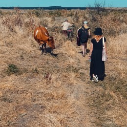 Знімальна група працює в Афанасіївці над документальним фільмом, фото: Леся Бакалець