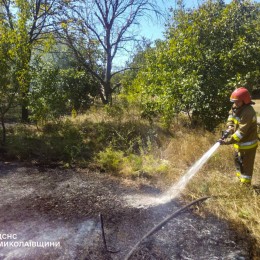 Пожары в Николаевской области 13 августа / Фото: ГСЧС Николаевской области