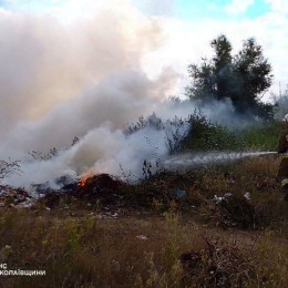 Пожары в Николаевской области 13 августа / Фото: ГСЧС Николаевской области