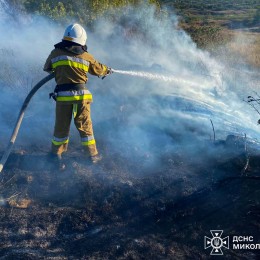 Пожары в Николаевской области 13 августа / Фото: ГСЧС Николаевской области