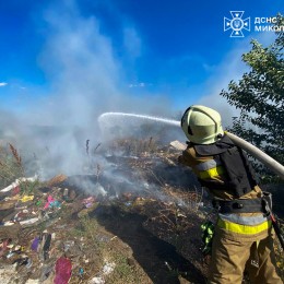 Пожежі в Миколаївській області 13 серпня / Фото: ДСНС Миколаївщини