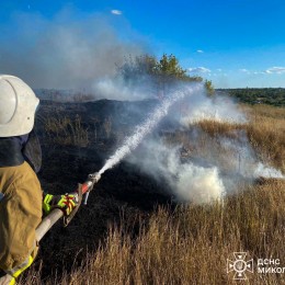 Пожежі в Миколаївській області 13 серпня / Фото: ДСНС Миколаївщини