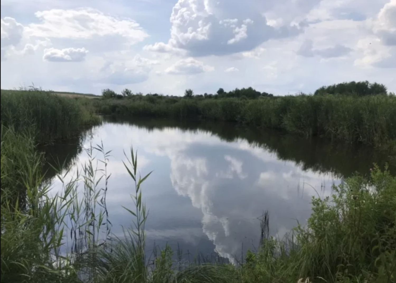 Ставок. Ілюстраційне фото 