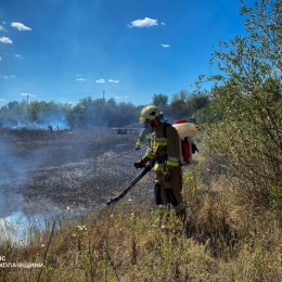 Пожежі у Миколаївській області 14 серпня / Фото: ДСНС Миколаївщини