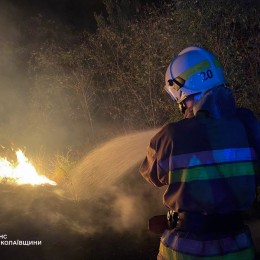 Пожежі у Миколаївській області 14 серпня / Фото: ДСНС Миколаївщини