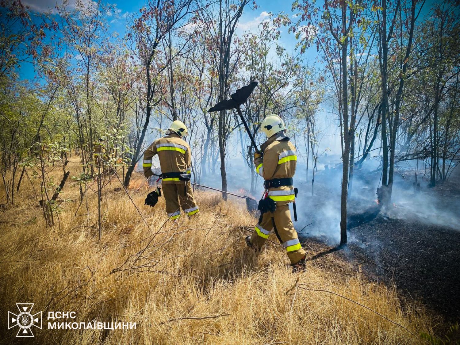 Пожежі у Миколаївській області 15-16 серпня. Фото: ДСНС Миколаївщини