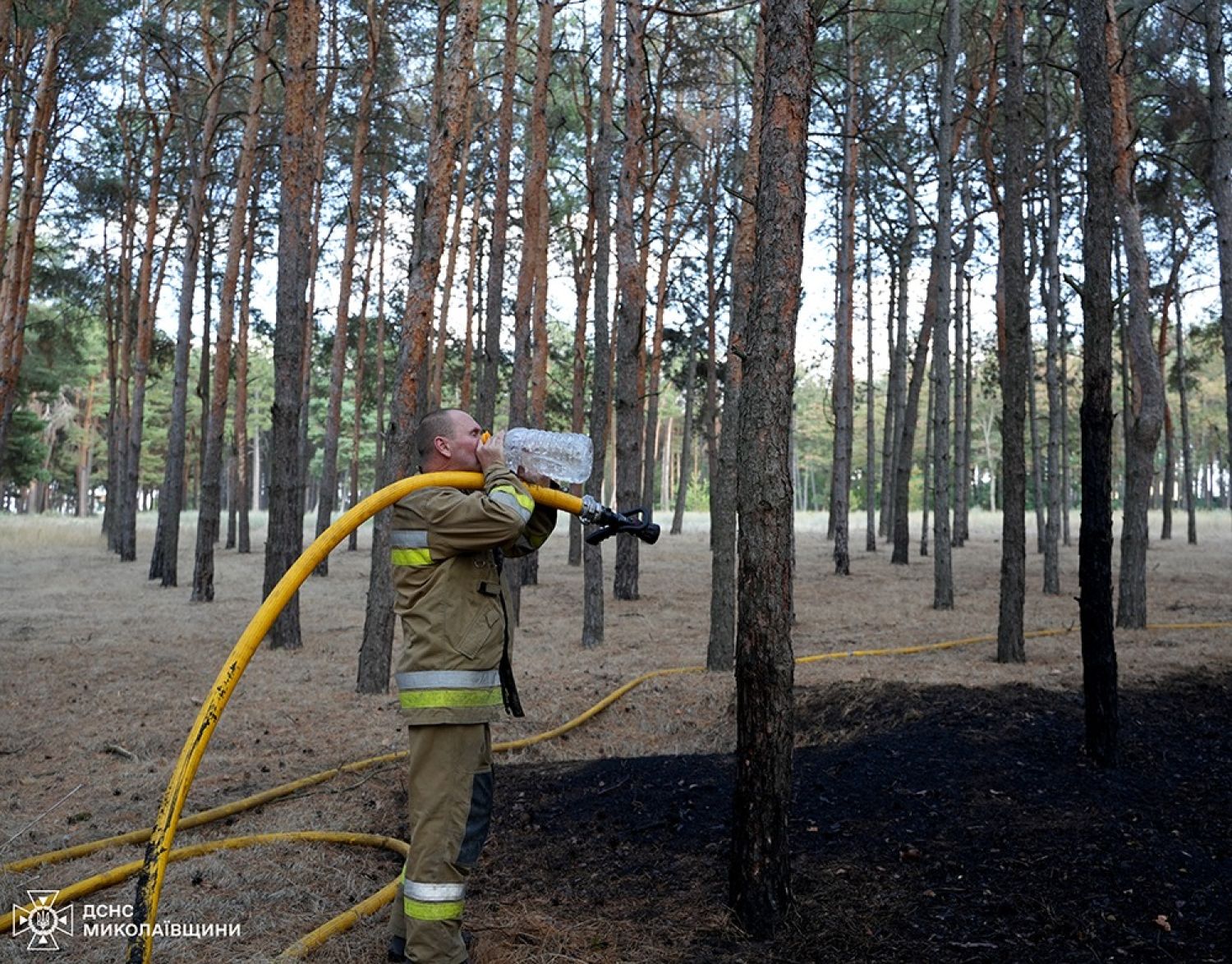 На Миколаївщині за минулу добу гачили 33 пожежі. Фото: ДСНС